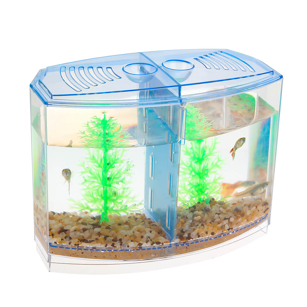 Best Double Betta Fish Tank at Low 